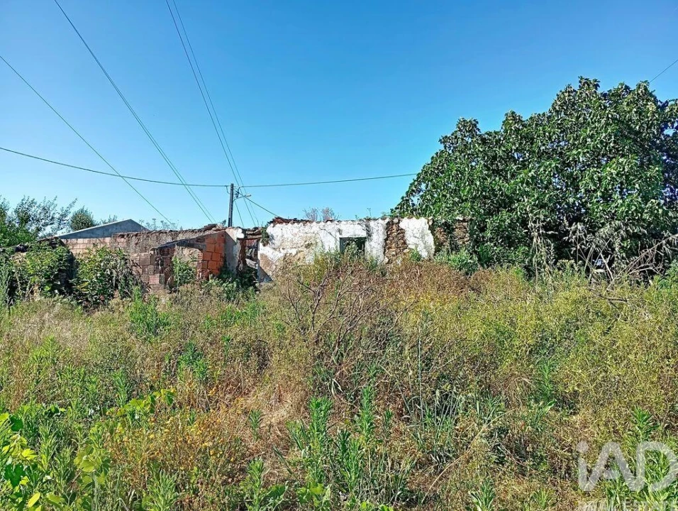 Moradia para Venda em Ferreira do Zezere Foto 2