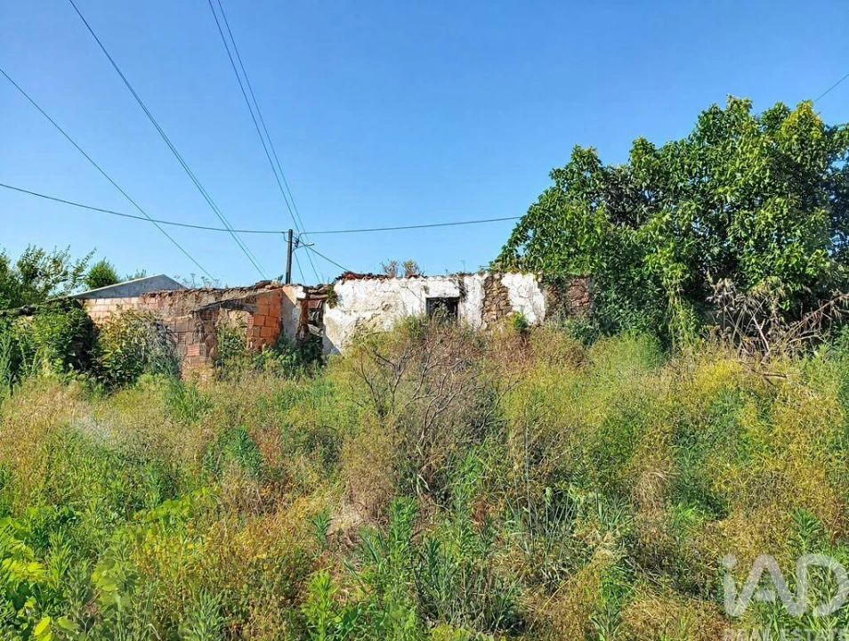 Moradia para Venda em Ferreira do Zezere Foto 3