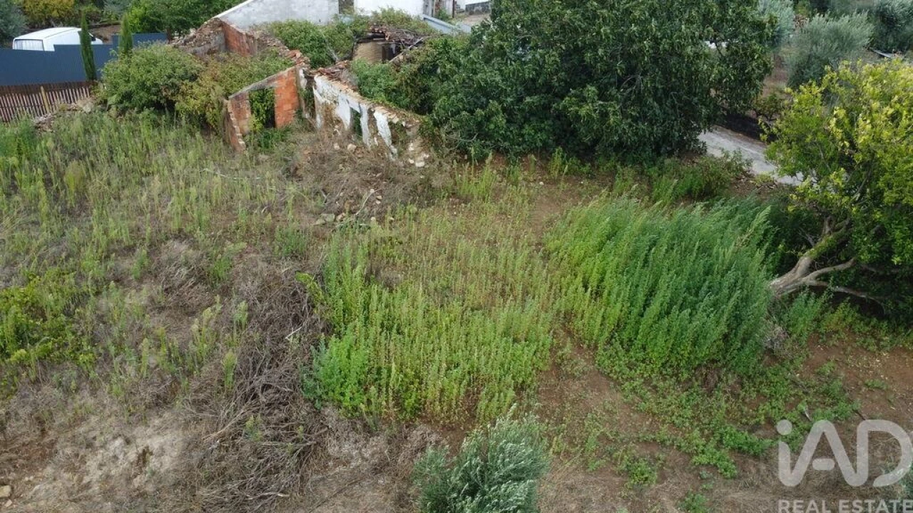 Moradia para Venda em Ferreira do Zezere Foto 1