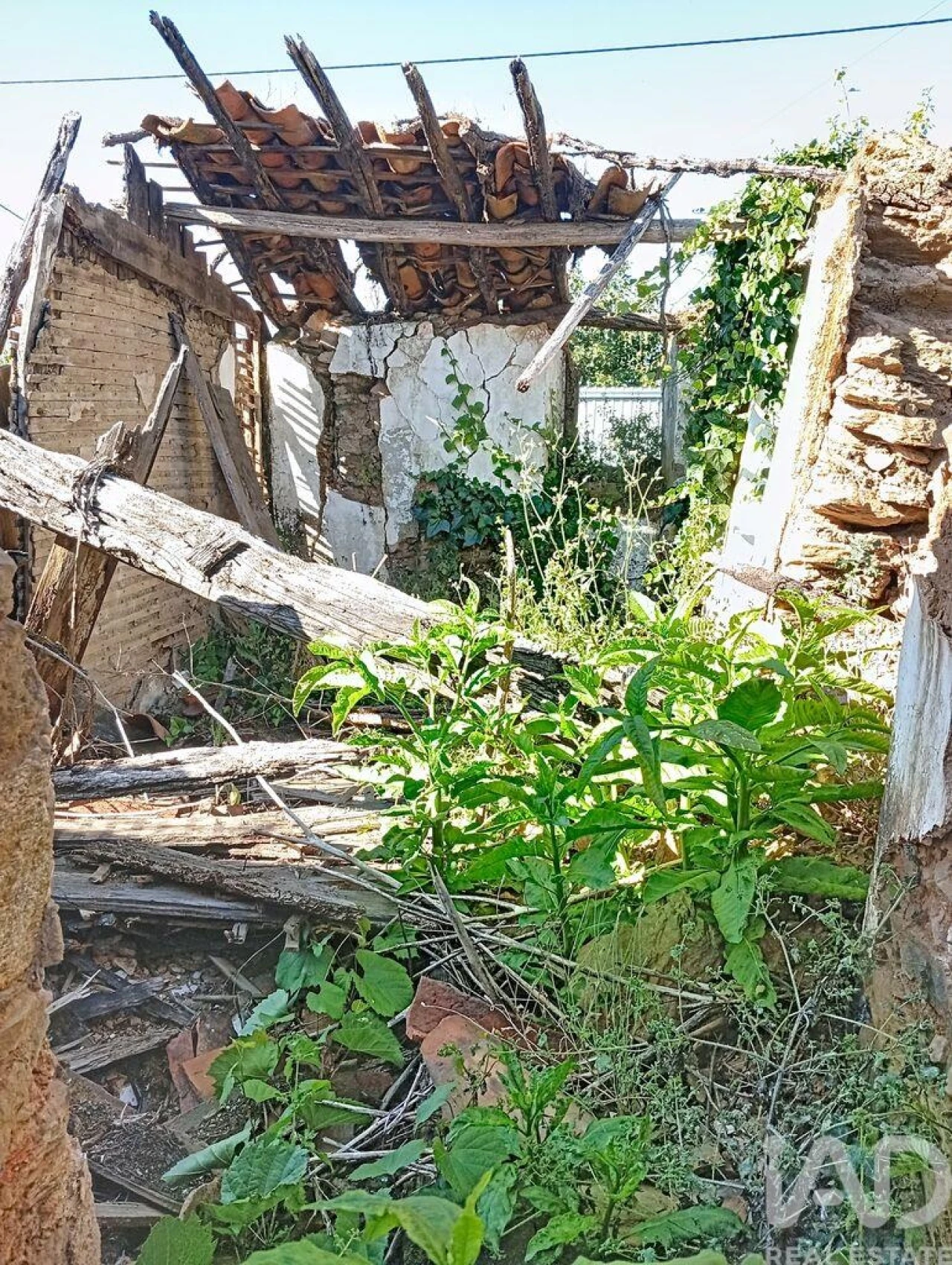 Moradia para Venda em Ferreira do Zezere Foto 9