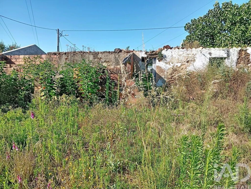 Moradia para Venda em Ferreira do Zezere Foto 14