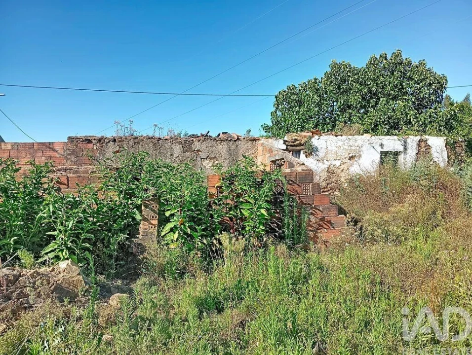 Moradia para Venda em Ferreira do Zezere Foto 3
