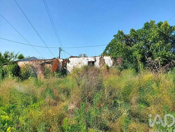 Moradia para Venda em Ferreira do Zezere Foto 3