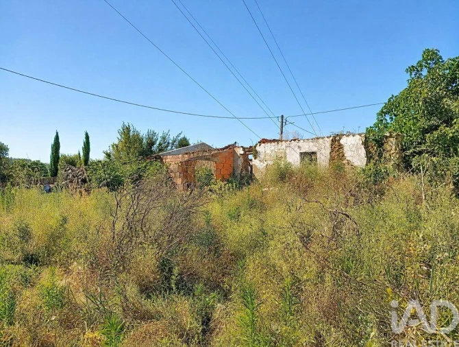 Moradia para Venda em Ferreira do Zezere Foto 6