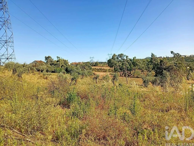 Moradia para Venda em Ferreira do Zezere Foto 17