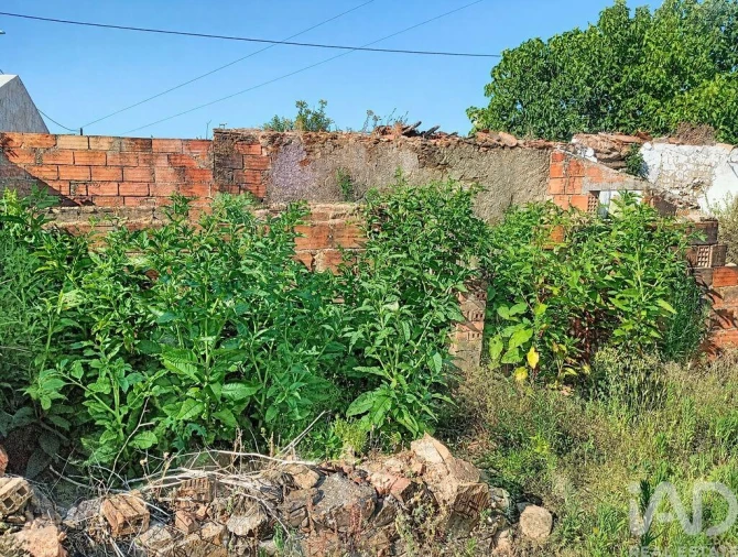 Moradia para Venda em Ferreira do Zezere Foto 15