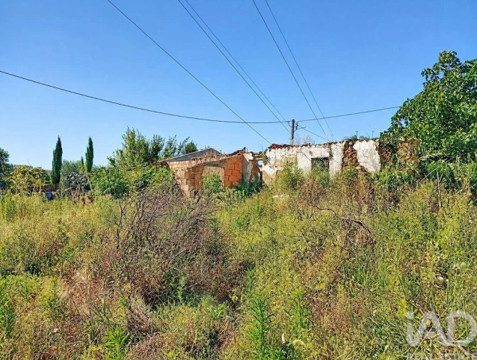 Moradia para Venda em Ferreira do Zezere Foto 2