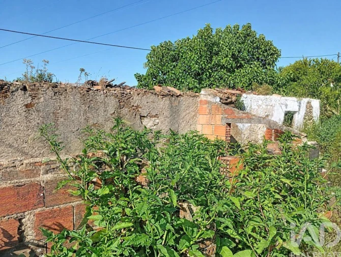 Moradia para Venda em Ferreira do Zezere Foto 8