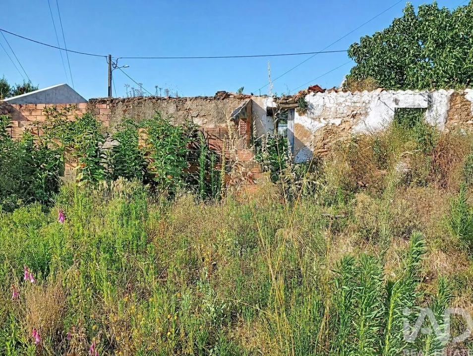 Moradia para Venda em Ferreira do Zezere Foto 4