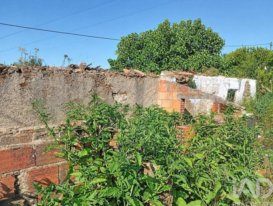 Moradia para Venda em Ferreira do Zezere Foto 8