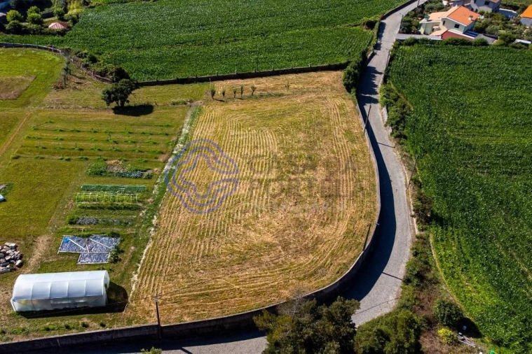 Terreno para Venda em Malta e Canidelo Foto 20