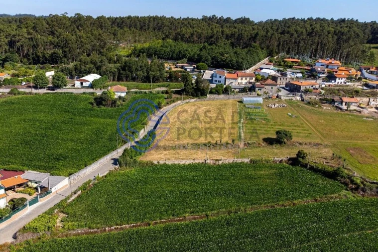Terreno para Venda em Malta e Canidelo Foto 18