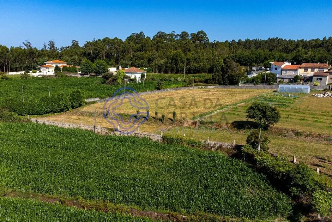 Terreno para Venda em Malta e Canidelo Foto 9