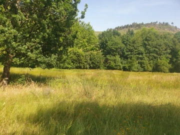 Terreno para Venda em Rio Douro