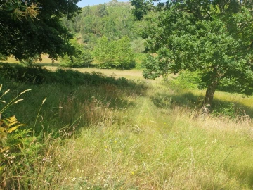 Terreno para Venda em Rio Douro