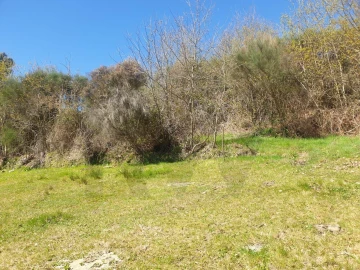 Terreno para Venda em Rio Douro
