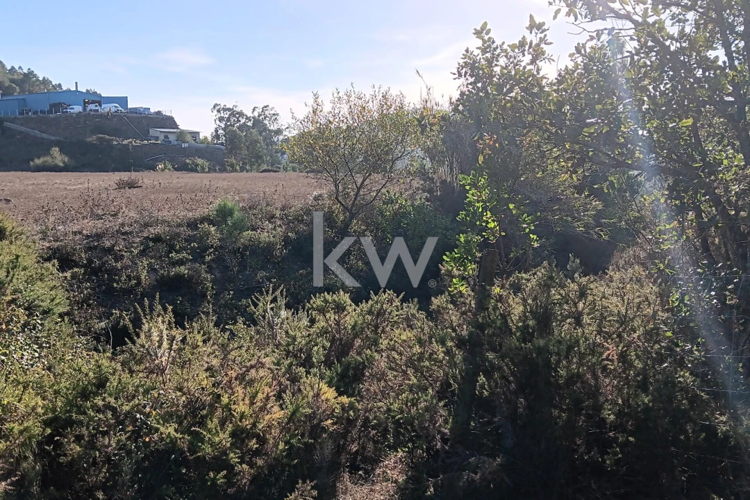 Terreno para Venda em Milharado Foto 10