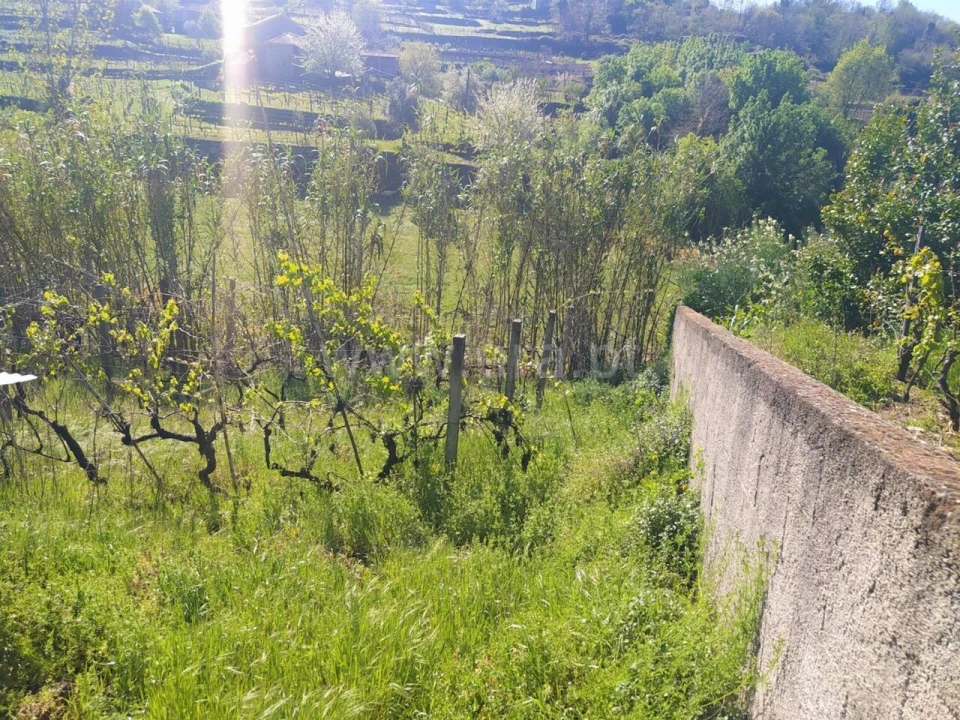 Moradia T1 para Venda em Gestaço Foto 3
