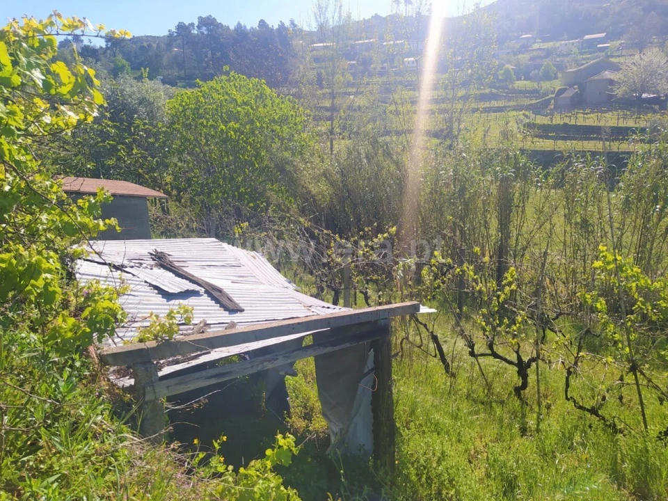 Moradia T1 para Venda em Gestaço Foto 4