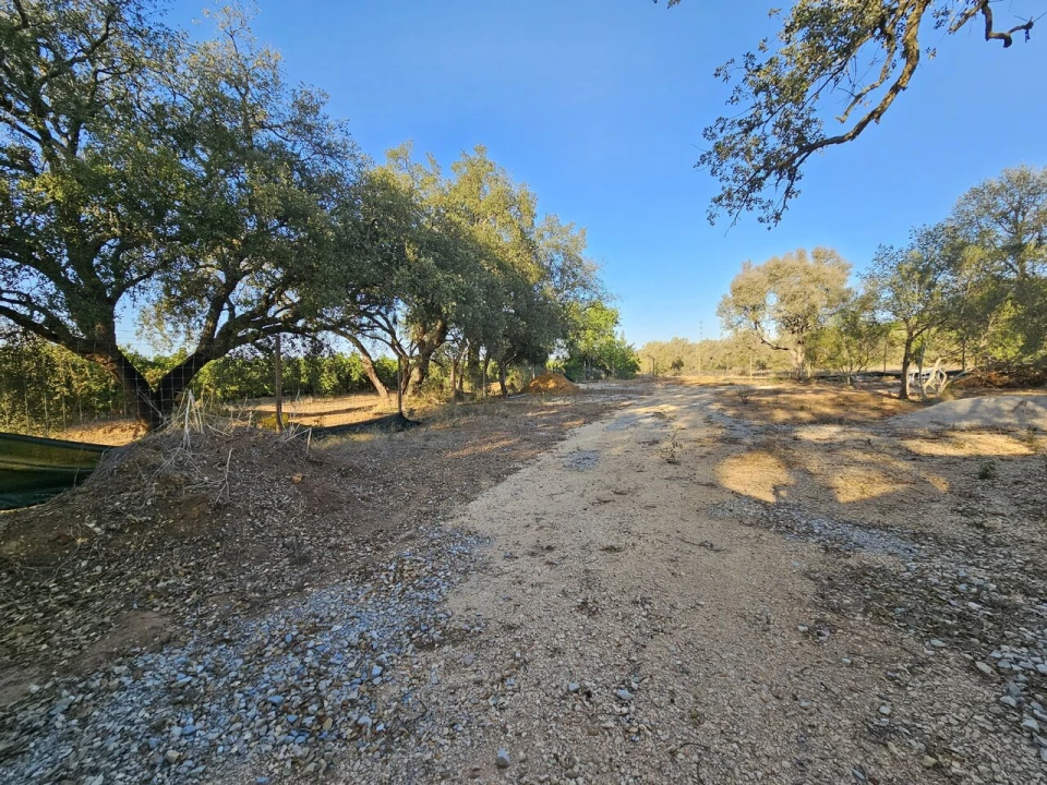 Terreno para Venda em Algoz e Tunes Foto 1