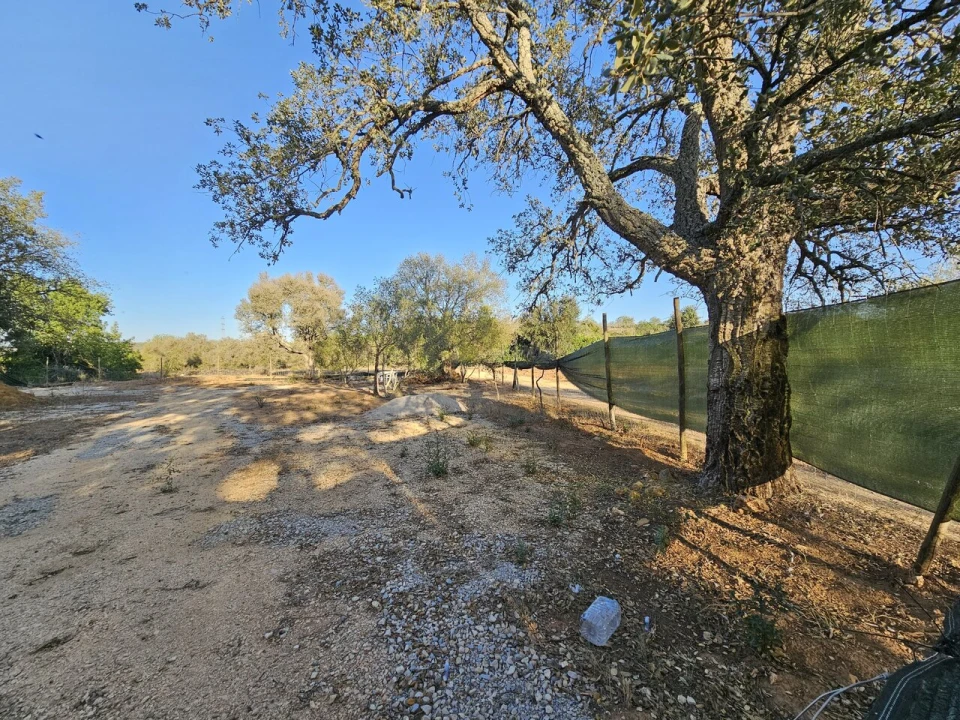 Terreno para Venda em Algoz e Tunes Foto 2