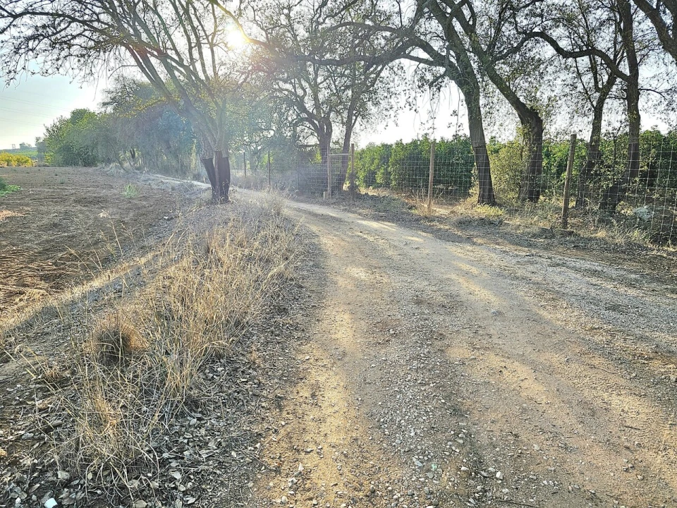 Terreno para Venda em Algoz e Tunes Foto 4