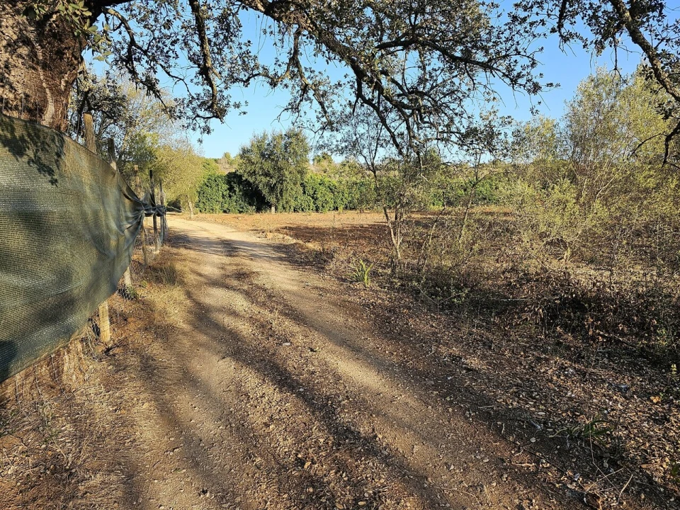 Terreno para Venda em Algoz e Tunes Foto 5
