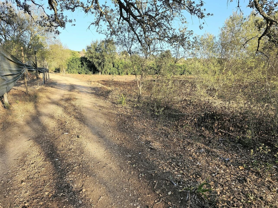 Terreno para Venda em Algoz e Tunes Foto 6