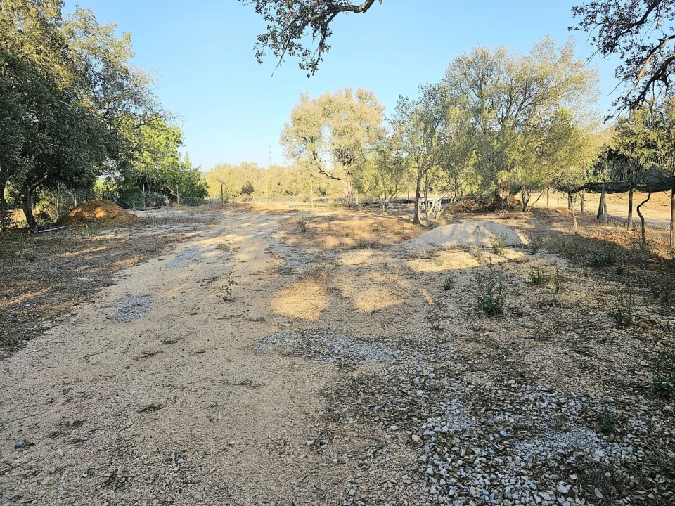 Terreno para Venda em Algoz e Tunes Foto 7