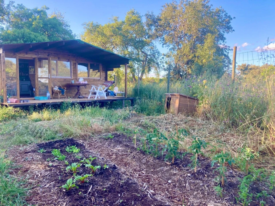 Terreno para Venda em Algoz e Tunes Foto 14