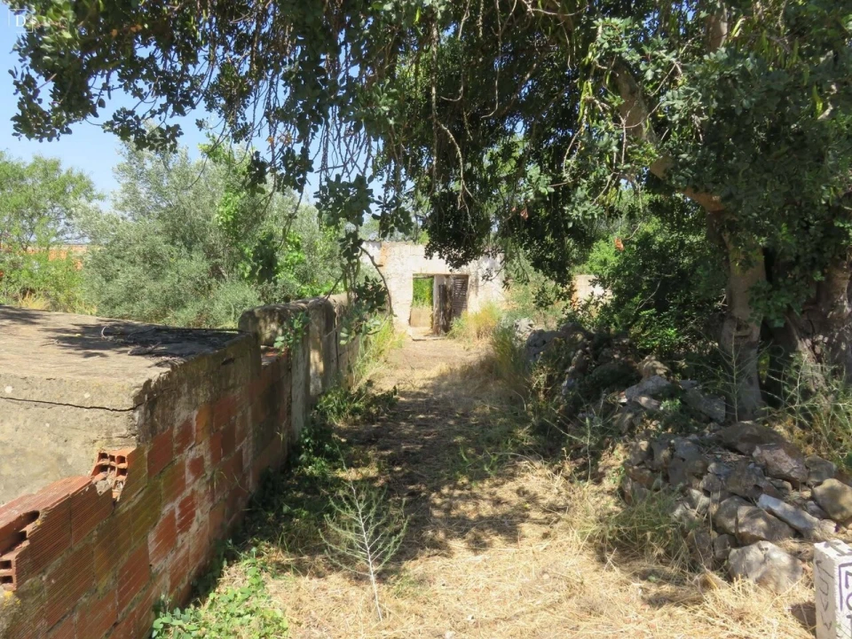 Moradia T1 para Venda em Alte Foto 37