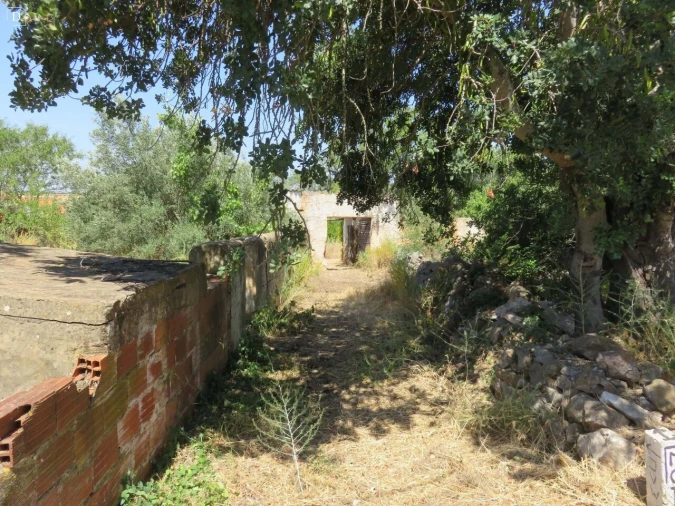 Moradia T1 para Venda em Alte Foto 37