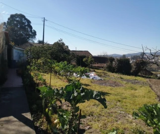 Moradia T2 para Venda em Nevogilde
