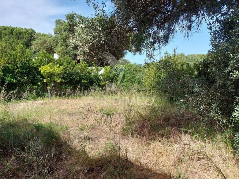Moradia T3 para Venda em Albufeira e Olhos de Água Foto 5