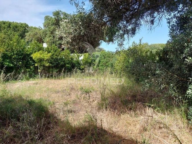 Moradia T3 para Venda em Albufeira e Olhos de Água Foto 5