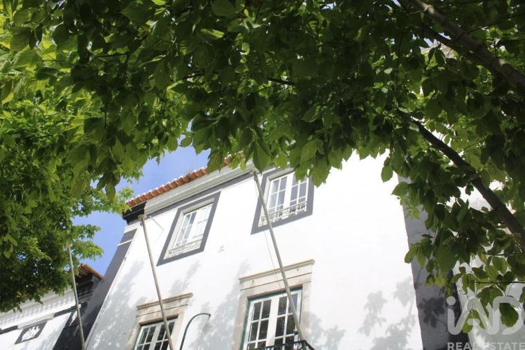Loja para Venda em São Bento do Cortiço e Santo Estêvão Foto 2