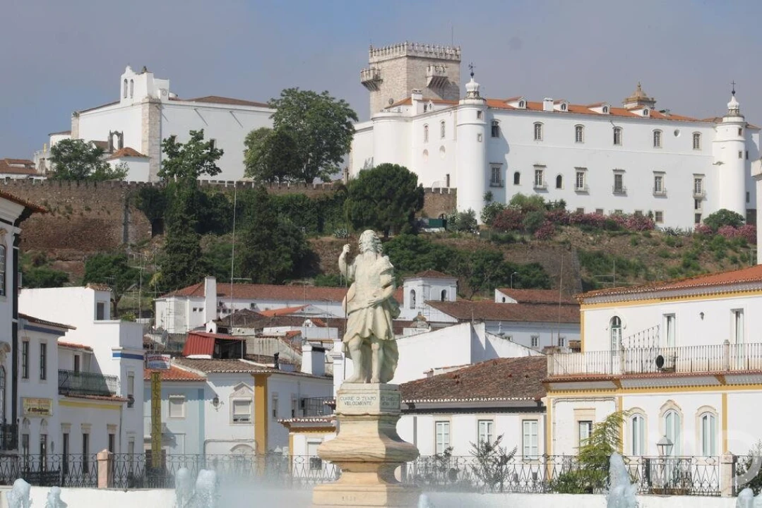 Loja para Venda em São Bento do Cortiço e Santo Estêvão Foto 23