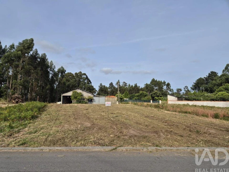 Terreno para Venda em Ponte de Vagos e Santa Catarina Foto 6