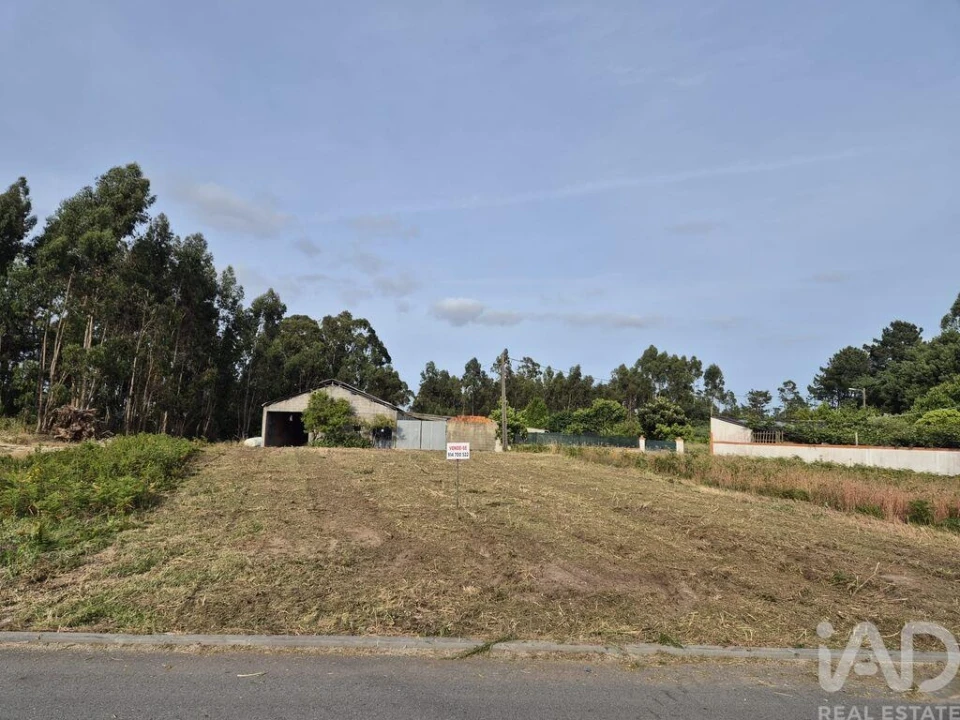 Terreno para Venda em Ponte de Vagos e Santa Catarina Foto 7