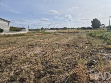 Terreno para Venda em Ponte de Vagos e Santa Catarina