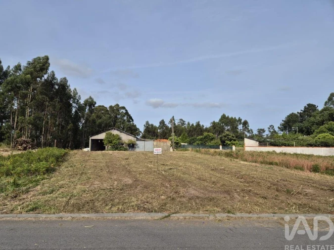 Terreno para Venda em Ponte de Vagos e Santa Catarina Foto 6