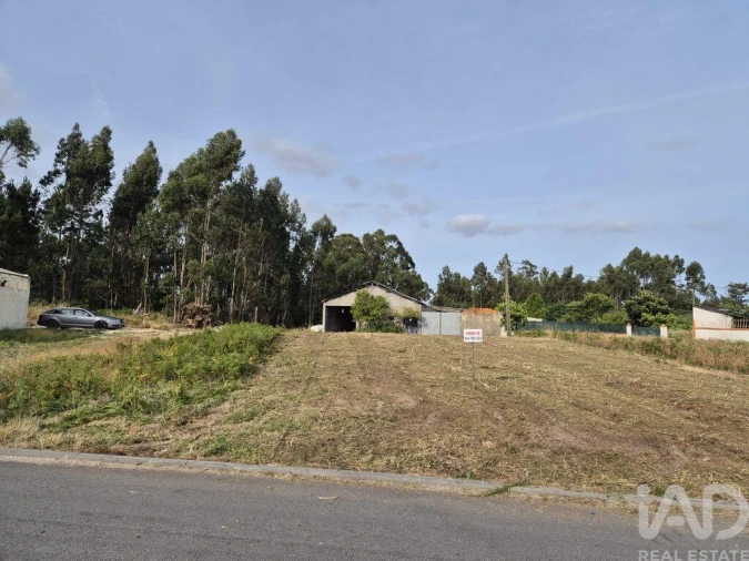Terreno para Venda em Ponte de Vagos e Santa Catarina Foto 3