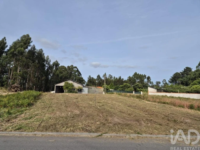 Terreno para Venda em Ponte de Vagos e Santa Catarina Foto 9