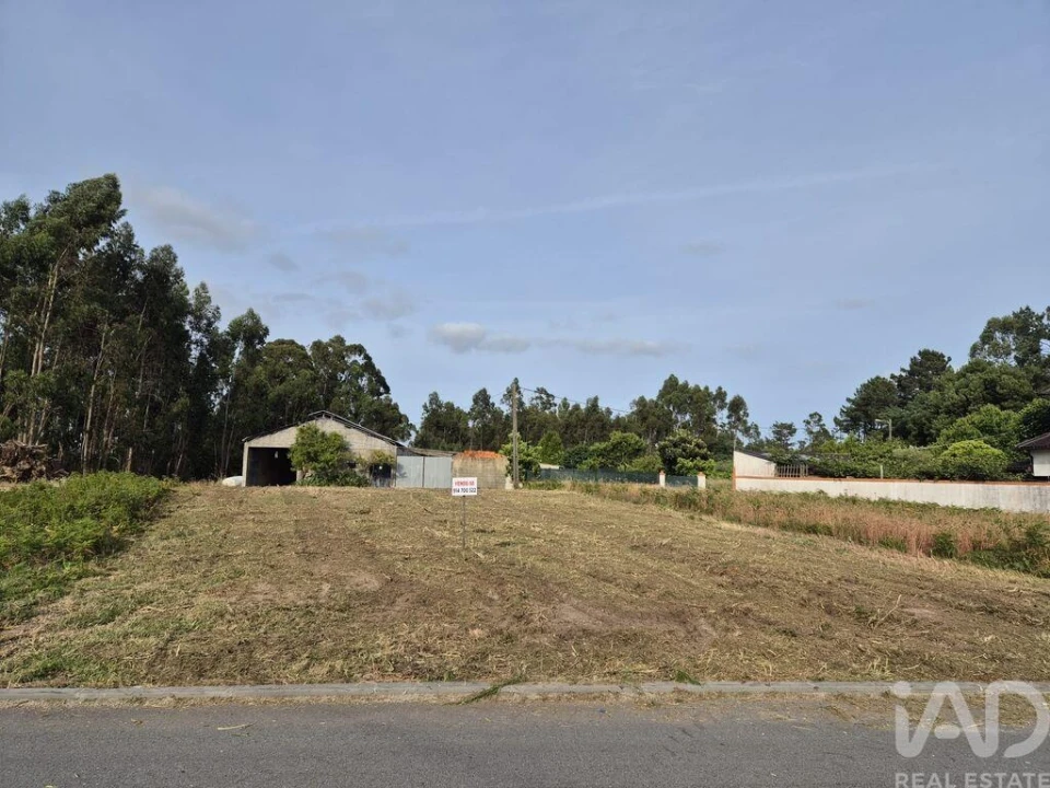 Terreno para Venda em Ponte de Vagos e Santa Catarina Foto 5