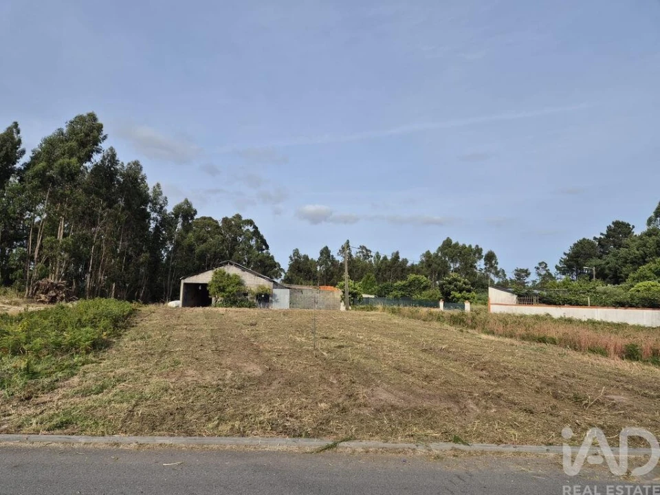 Terreno para Venda em Ponte de Vagos e Santa Catarina Foto 9