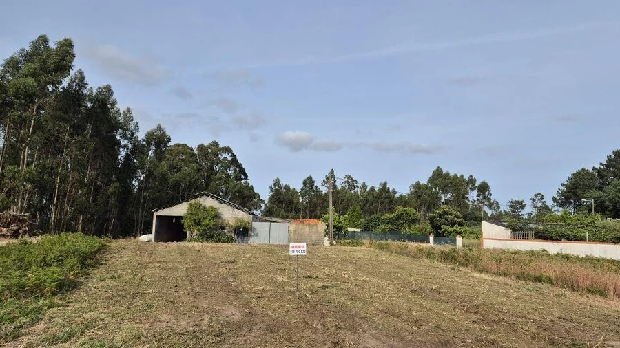 Terreno para Venda em Ponte de Vagos e Santa Catarina