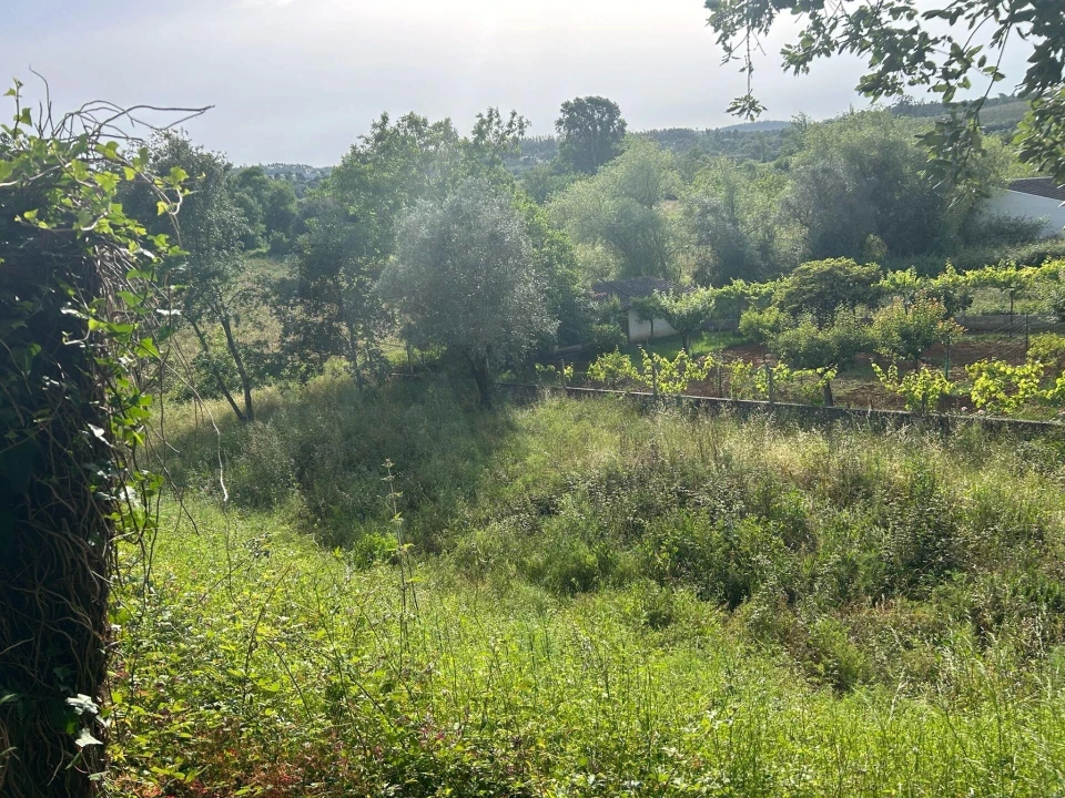 Terreno para Venda em Soure Foto 9