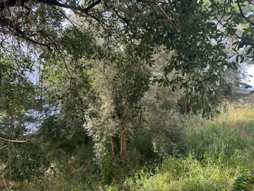 Terreno para Venda em Soure