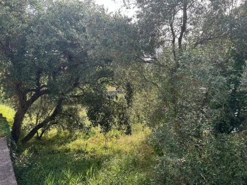 Terreno para Venda em Soure