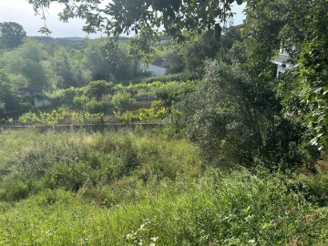Terreno para Venda em Soure